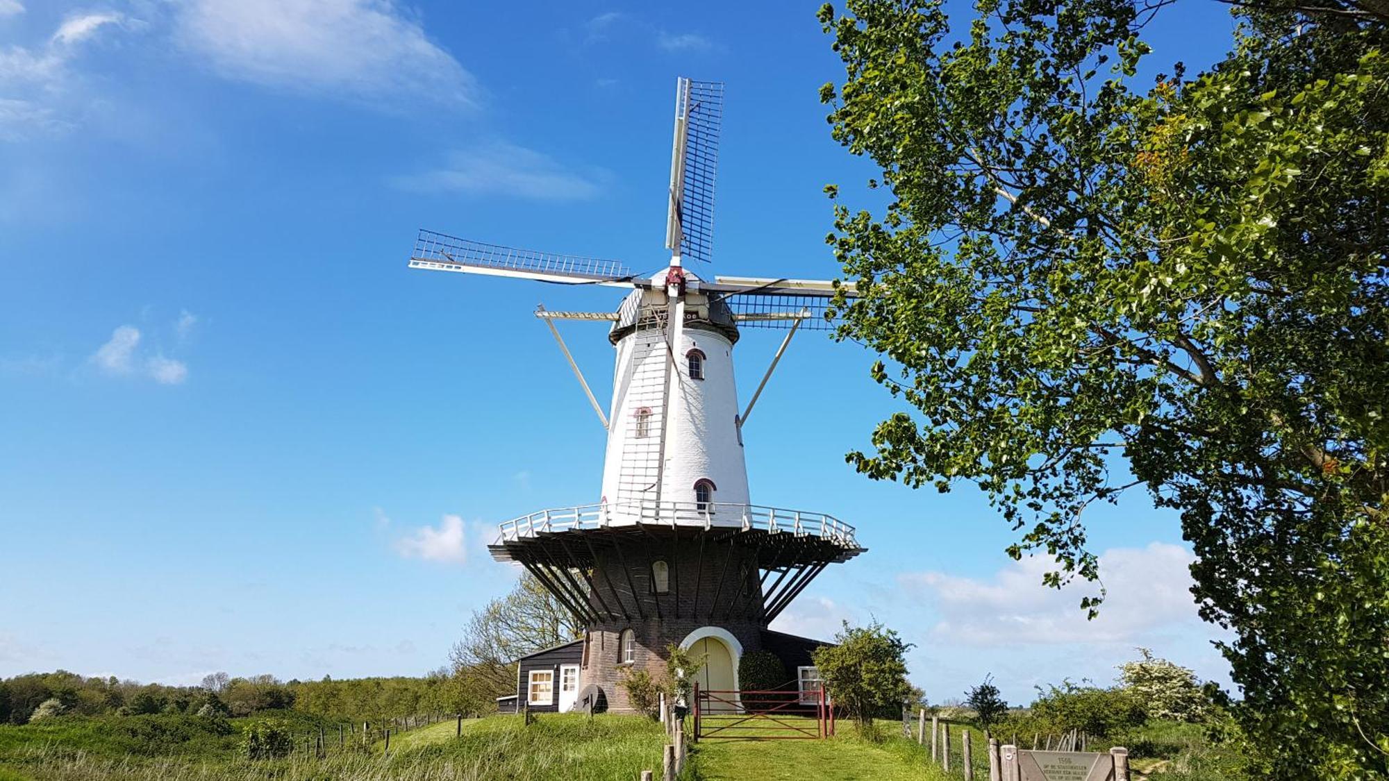 Olmenduin Chalet Veere Zeeland Serooskerke  Dış mekan fotoğraf
