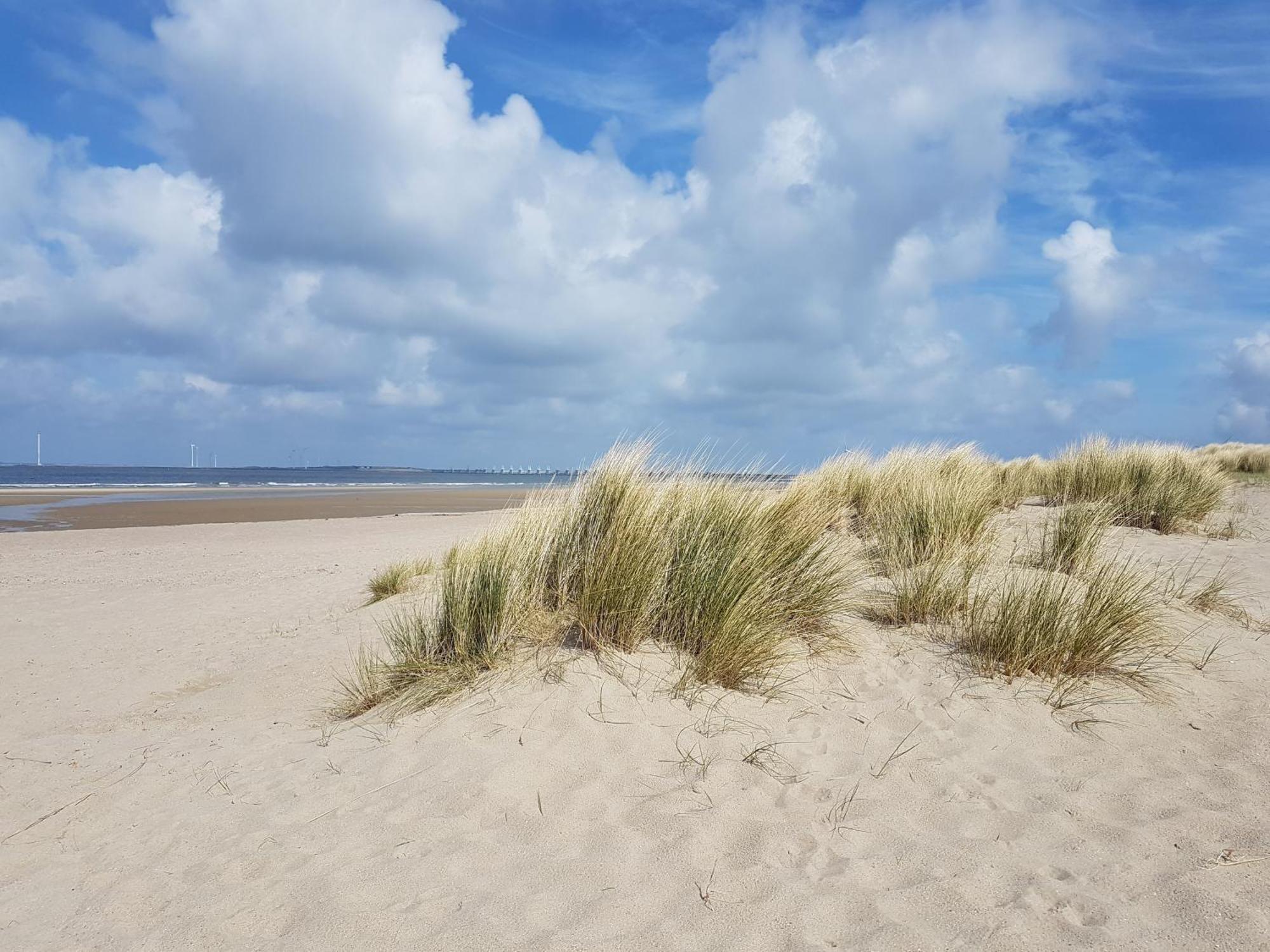 Olmenduin Chalet Veere Zeeland Serooskerke  Dış mekan fotoğraf